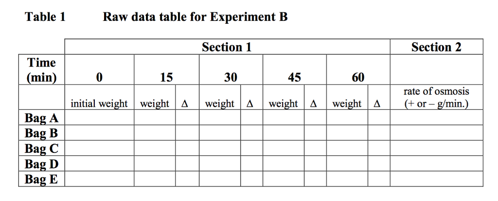 Solved Osmosis lab; Procedure: 1.Take out the dialysis bag | Chegg.com
