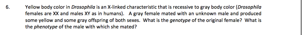 Solved Yellow body color in Drosophila is an X-linked | Chegg.com