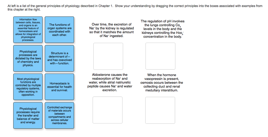 Solved At left is a list of the general principles of | Chegg.com