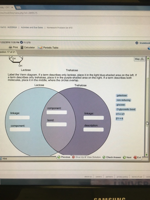 Solved Label the Cenn diagram. If a term describes on | Chegg.com