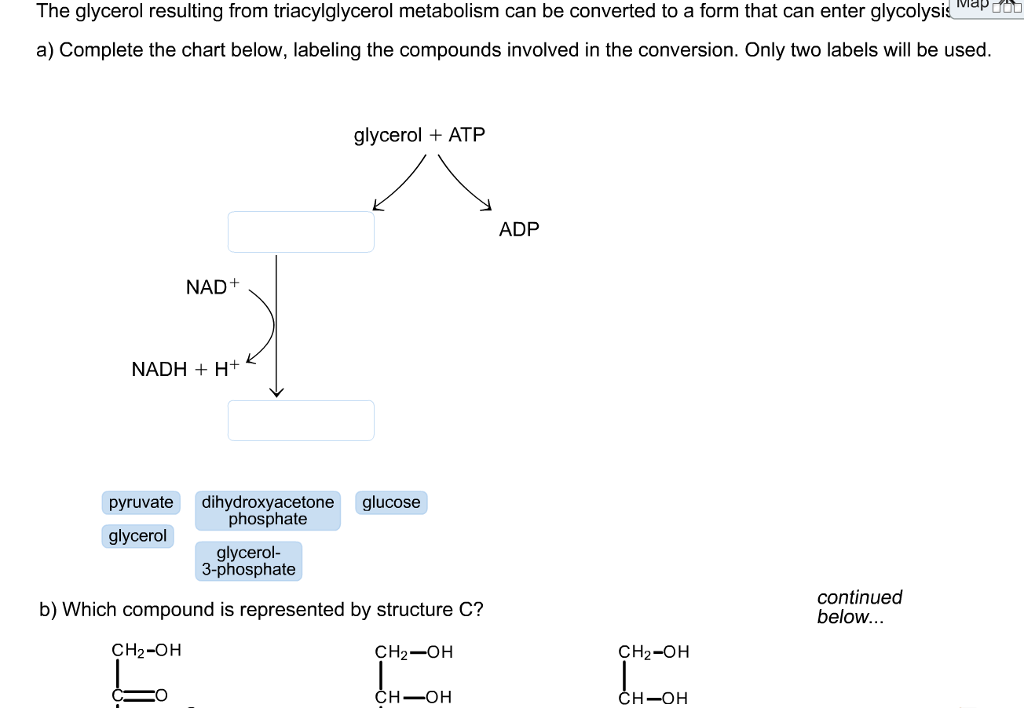 Solved The glycerol resulting from triacylglycerol | Chegg.com