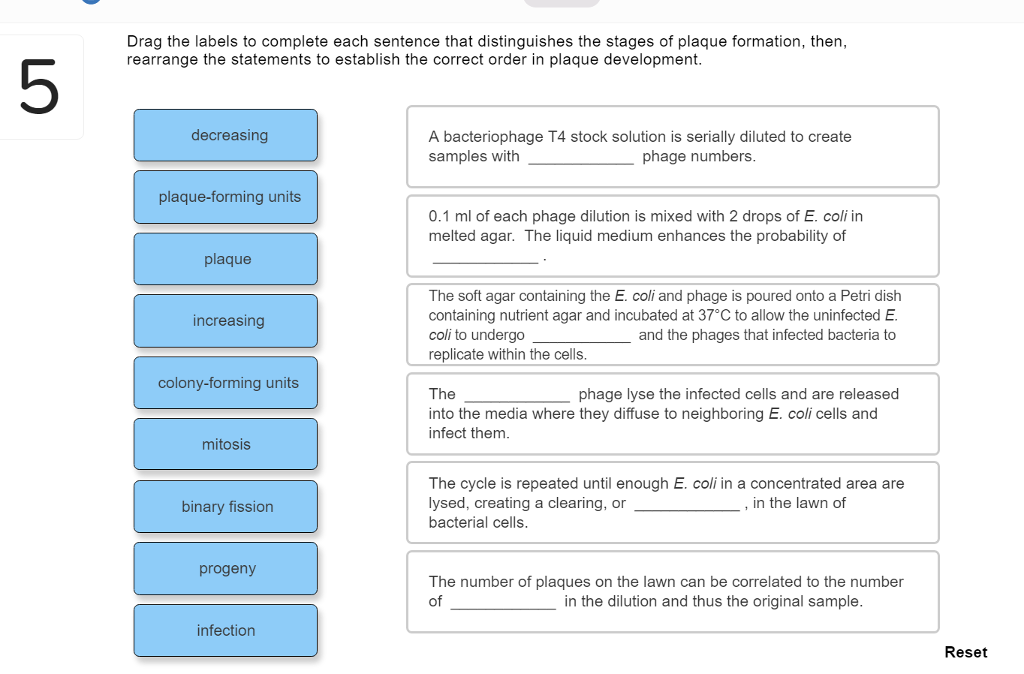 Solved Drag the labels to complete each sentence that