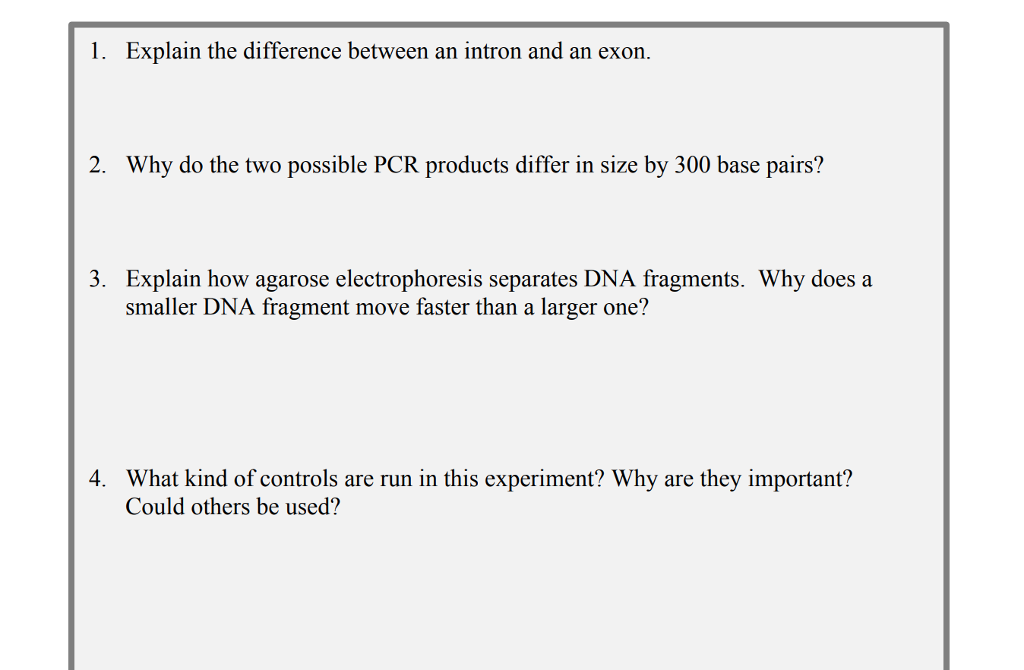 Explain the Difference Betweeen an Intron and an Exon
