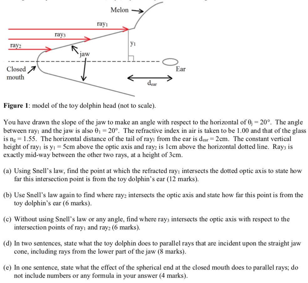 Solved Melon rayi ray3 ray2 jaw Closed7 mouth Ear dear