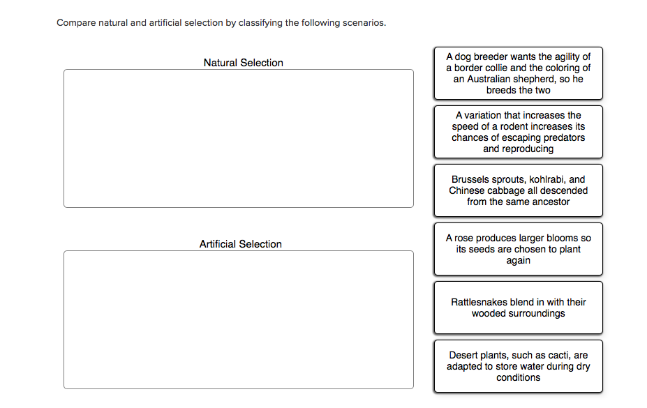 Compare Natural and Artificial Selection by Classifying the Following