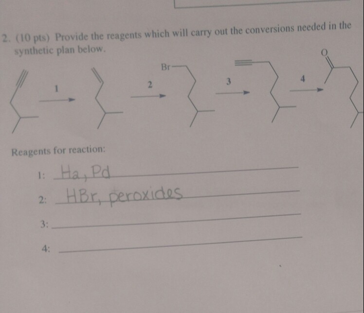 Solved H2O, H2SO4 HgSO4, H2SO4, H2O BHs, then H202, NaOH | Chegg.com