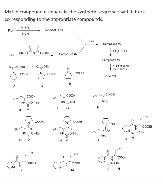 Solved Match compound numbers in the synthetic sequence with