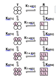 In the concerted model of cooperativity (see below), | Chegg.com