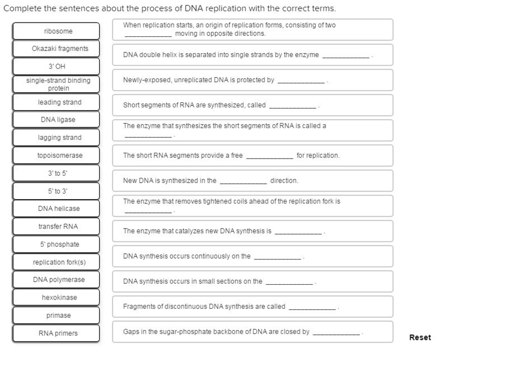 Solved Complete The Sentences About The Process Of DNA Chegg