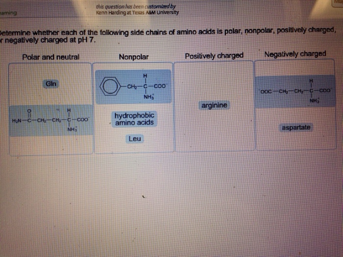 Solved Determine whether each of the following side chains | Chegg.com