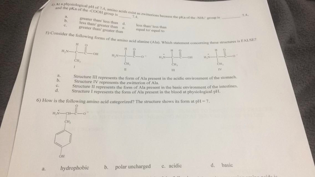 Solved At A Physiological PH Of 7.4, Amino Acids Exists A...