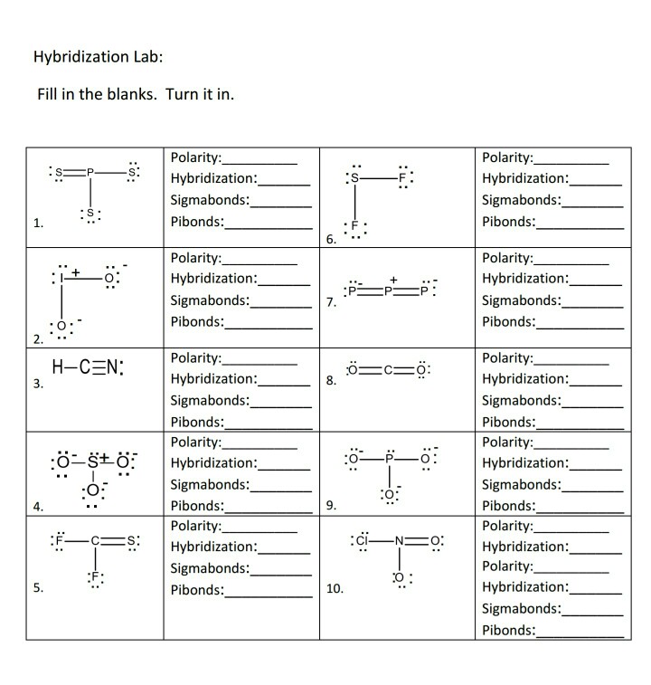 Solved Hybridization Lab Fill in the blanks. Turn it in | Chegg.com