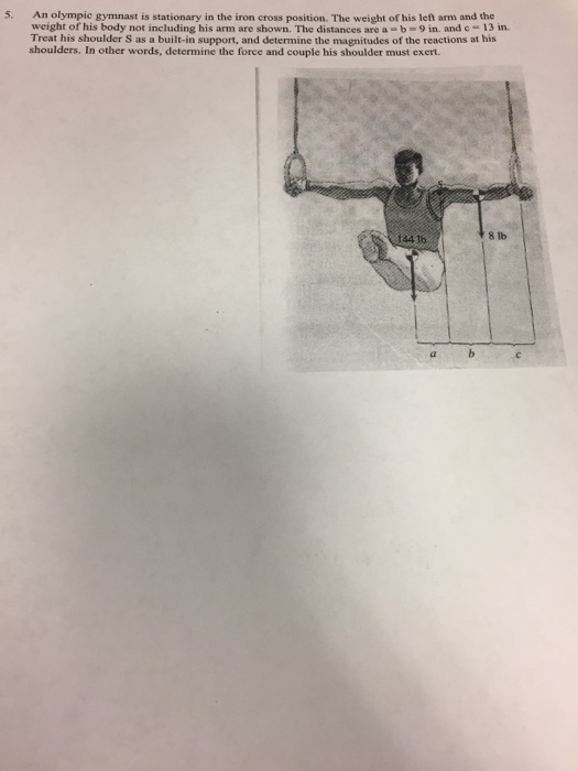 Solved An Olympic gymnast is stationary in the iron cross