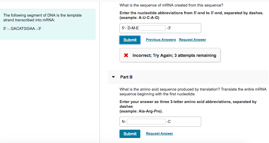 Solved What is the sequence of mRNA created from this | Chegg.com