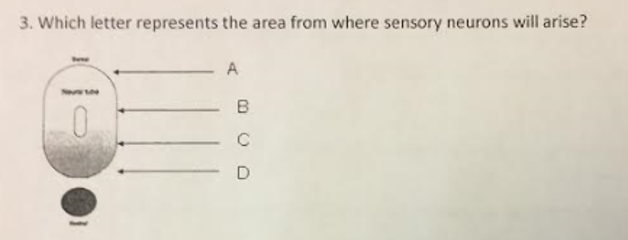 solved-which-letter-represents-the-area-from-where-sensory-chegg