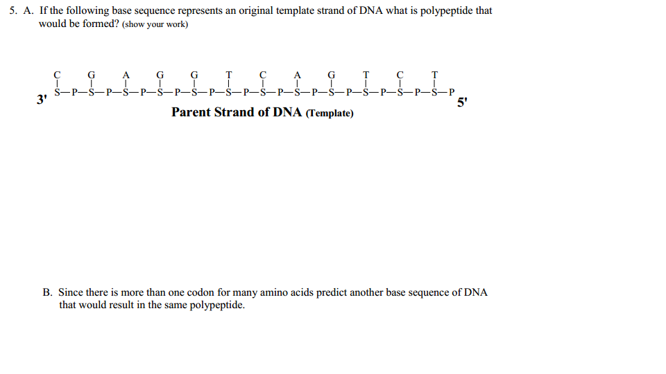 Solved If the following base sequence represents an original | Chegg.com