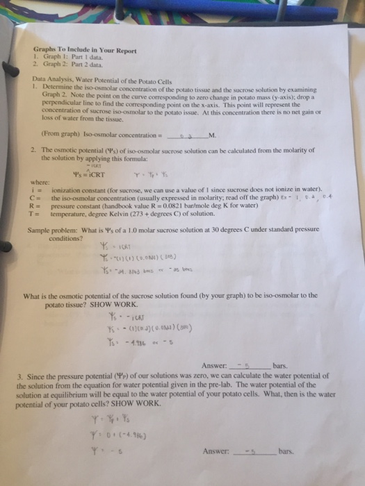 Diffusion And Osmosis Lab Worksheet1, 52 OFF