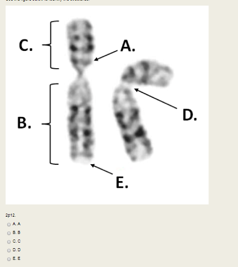 Solved The question is asking for 2p12 A. A B. B C. C D. | Chegg.com