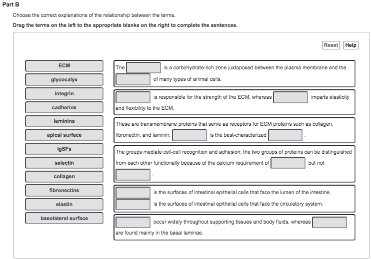 Solved Part B Choose The Correct Explanations Of The | Chegg.com