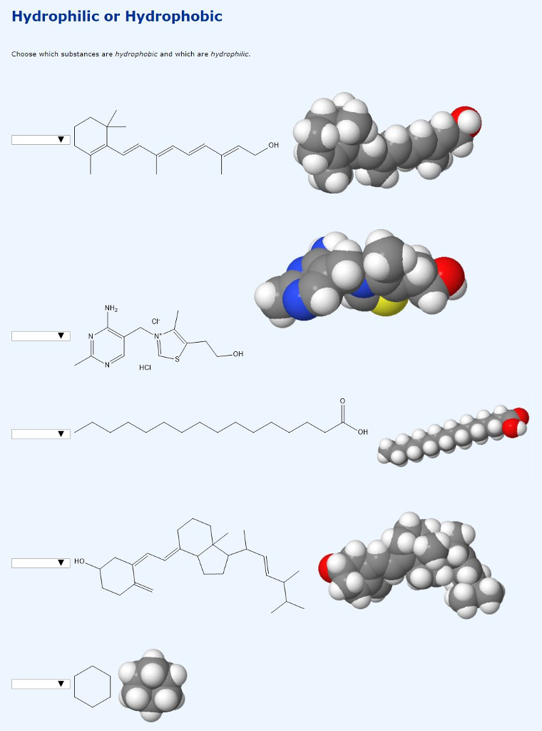 solved-hydrophilic-or-hydrophobic-choose-which-substances-chegg