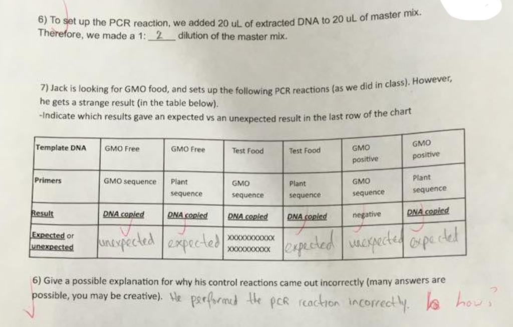 Solved 6) To Set Up The PCR Reaction, We Added 20 UL Of | Chegg.com