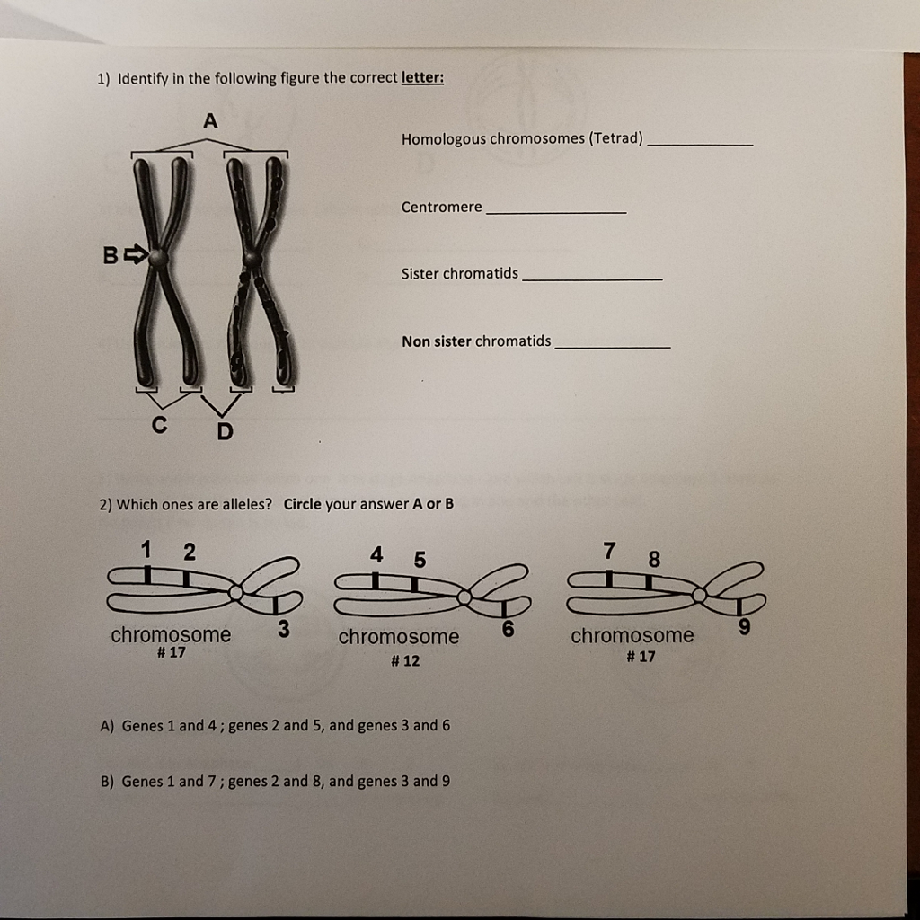 Solved 1) Identify in the following figure the correct | Chegg.com