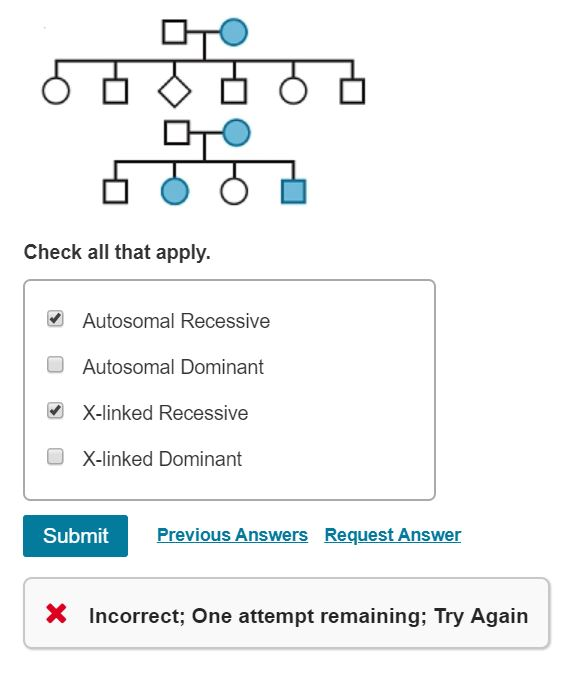Solved Check all that apply. Autosomal Recessive Autosomal | Chegg.com