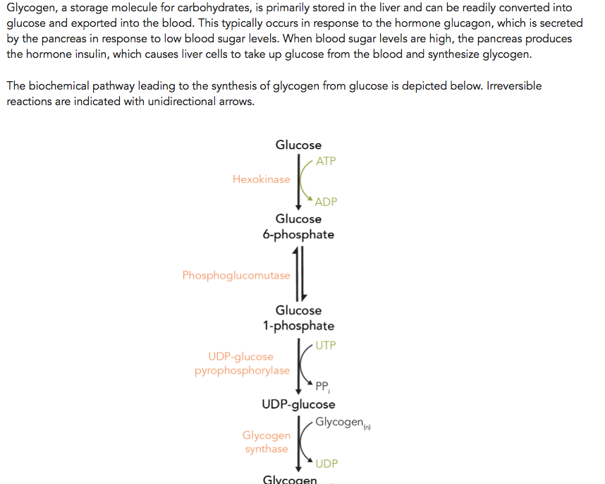 Synthesis Of Glycogen From Glucose 6 Phosphate