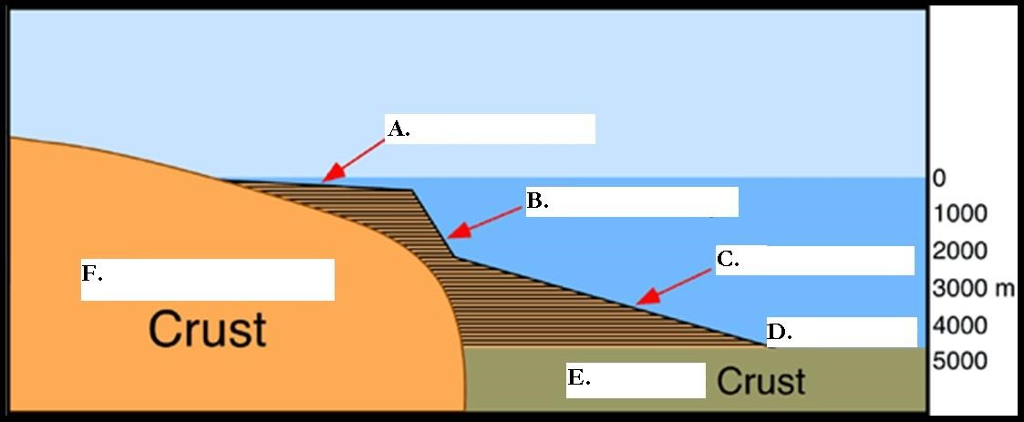 solved-1-which-hemisphere-is-considered-the-land-chegg