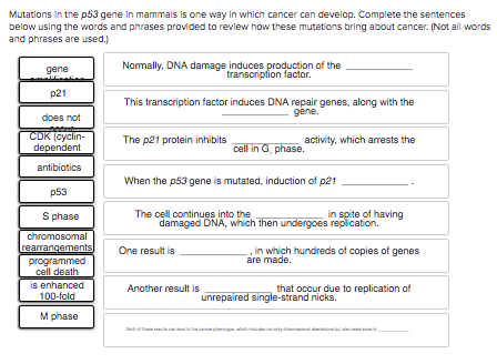 Solved Mutations In The P53 Gene In Mammals Is One Way In 