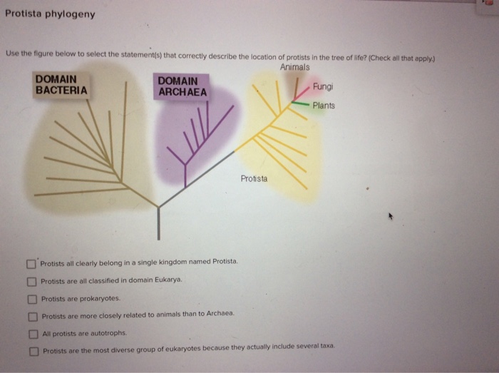 Solved Use the figure below to select the statement(s) that | Chegg.com