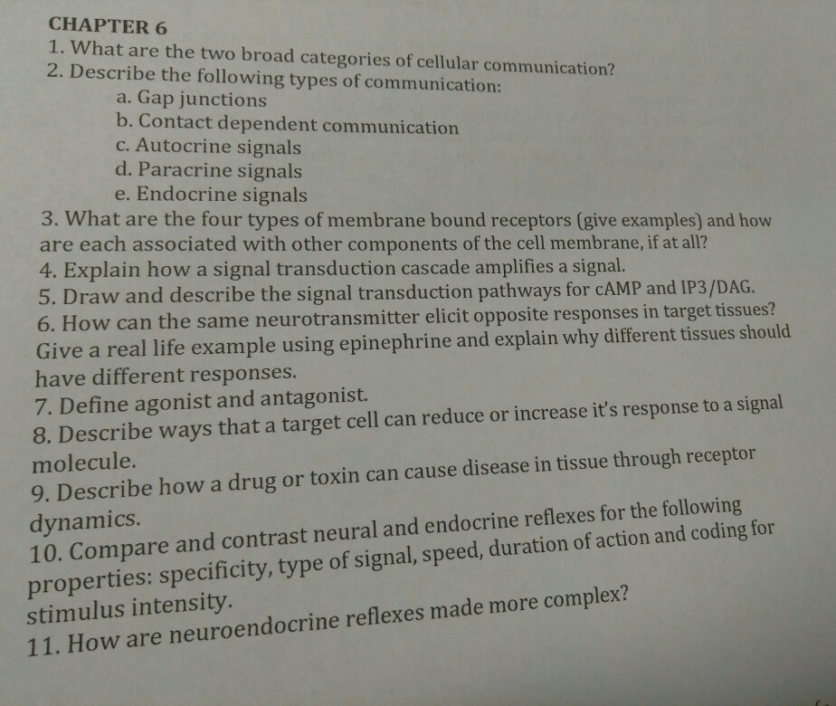 Solved CHAPTER 6 1 What Are The Two Broad Categories Of Chegg