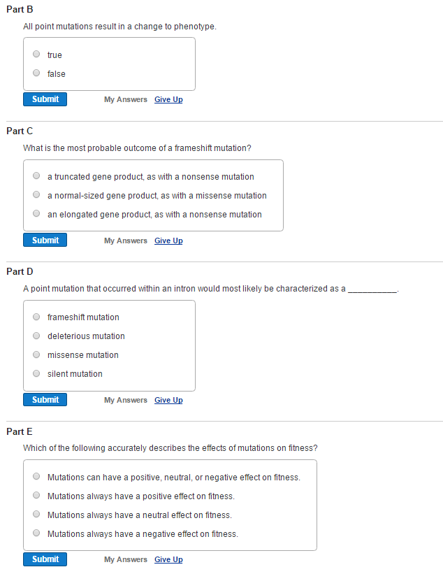 Solved All point mutations result in a change to phenotype. | Chegg.com