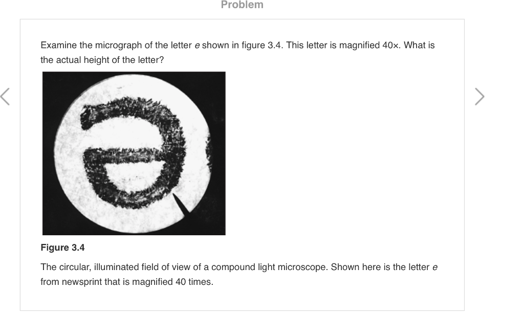 Solved Examine the micrograph of the letter e shown in