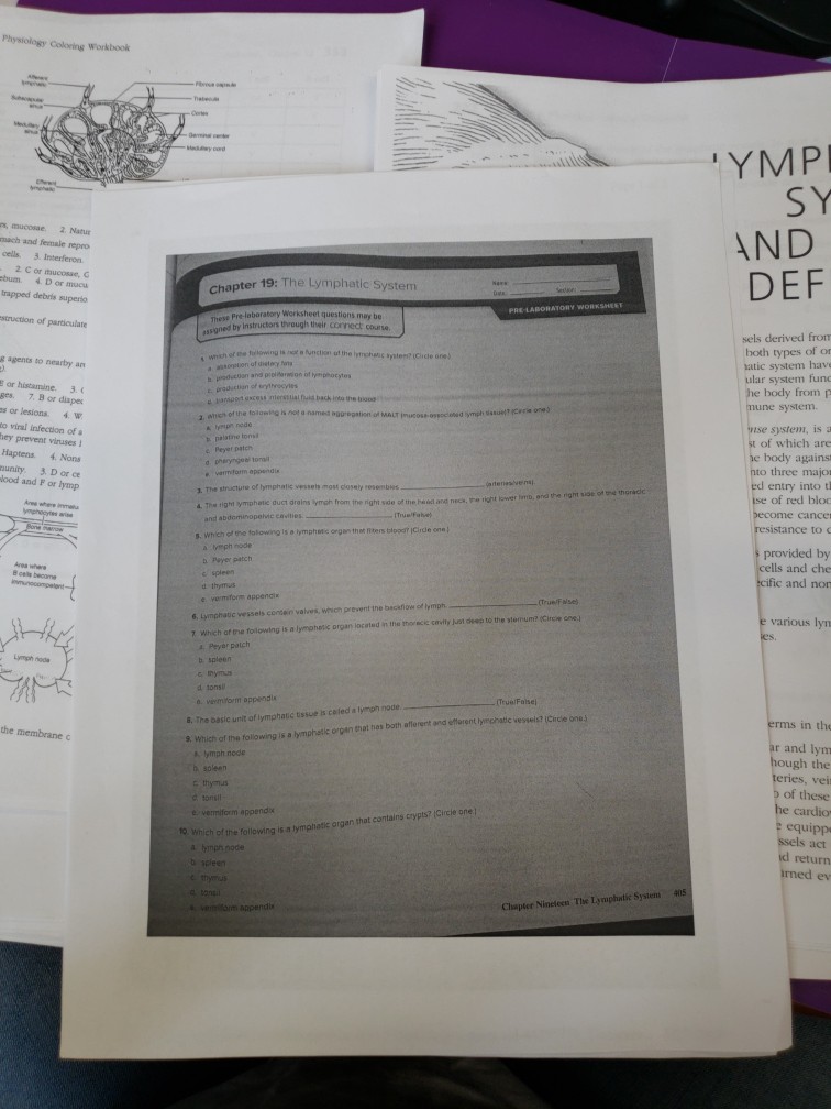 Anatomy And Physiology Archive | May 07, 2018 | Chegg.com