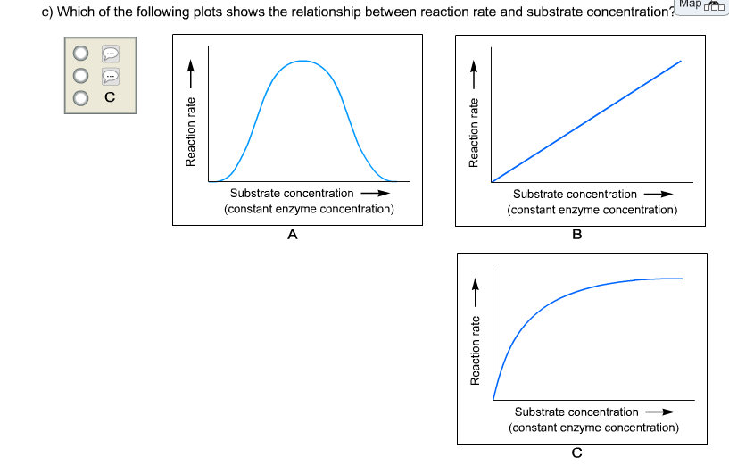 what are the constant variables in the activity above