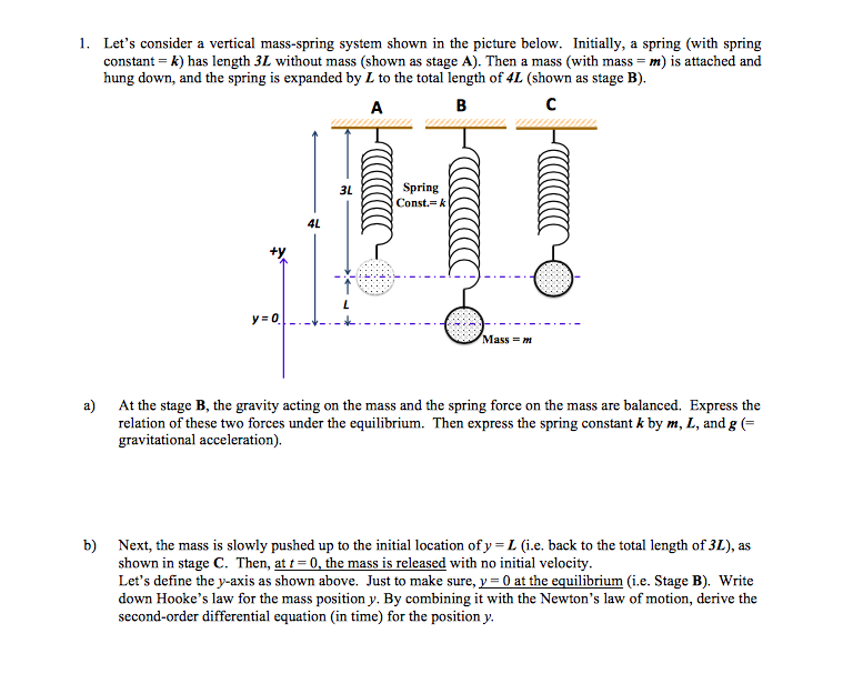 Solved 1 Lets Consider A Vertical Mass Spring System Shown