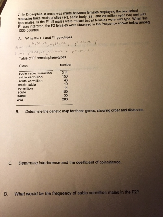Solved A. Determine the genetic MAP for these genes, showing | Chegg.com