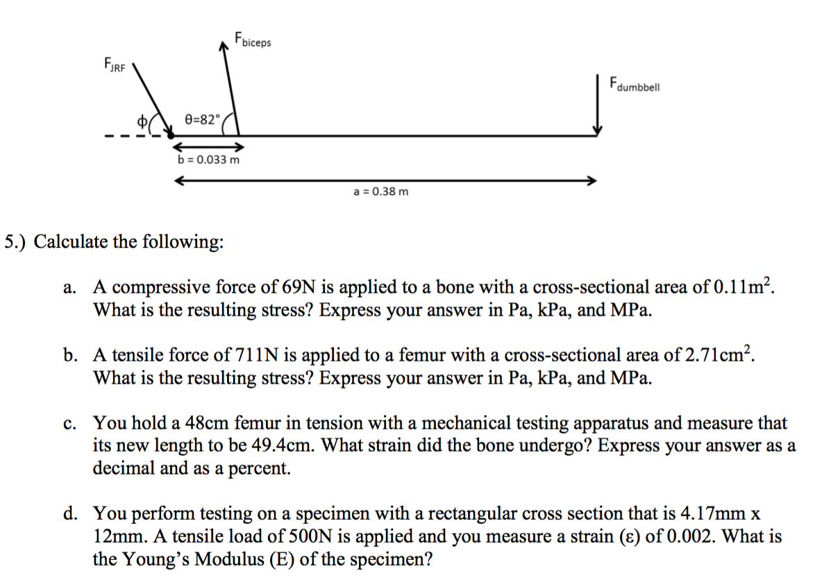 Solved Calculate the following: A compressive force of 69N | Chegg.com