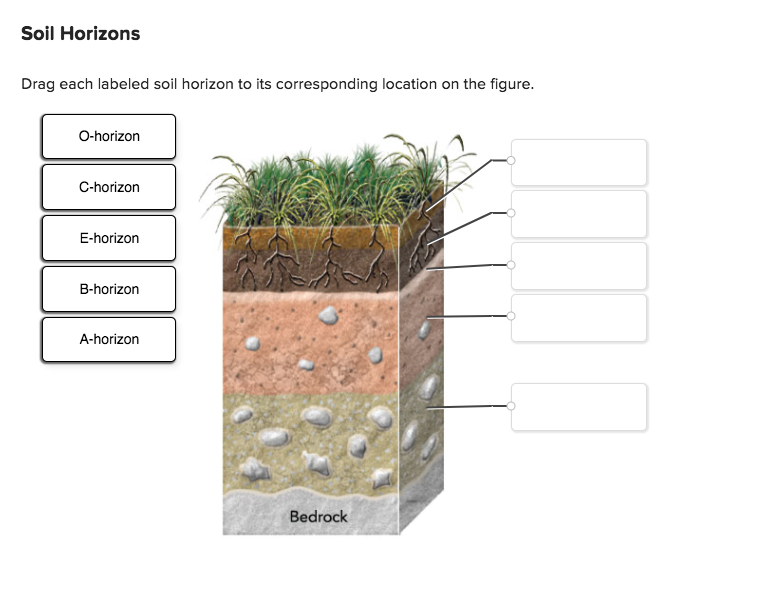 a horizon definition soil