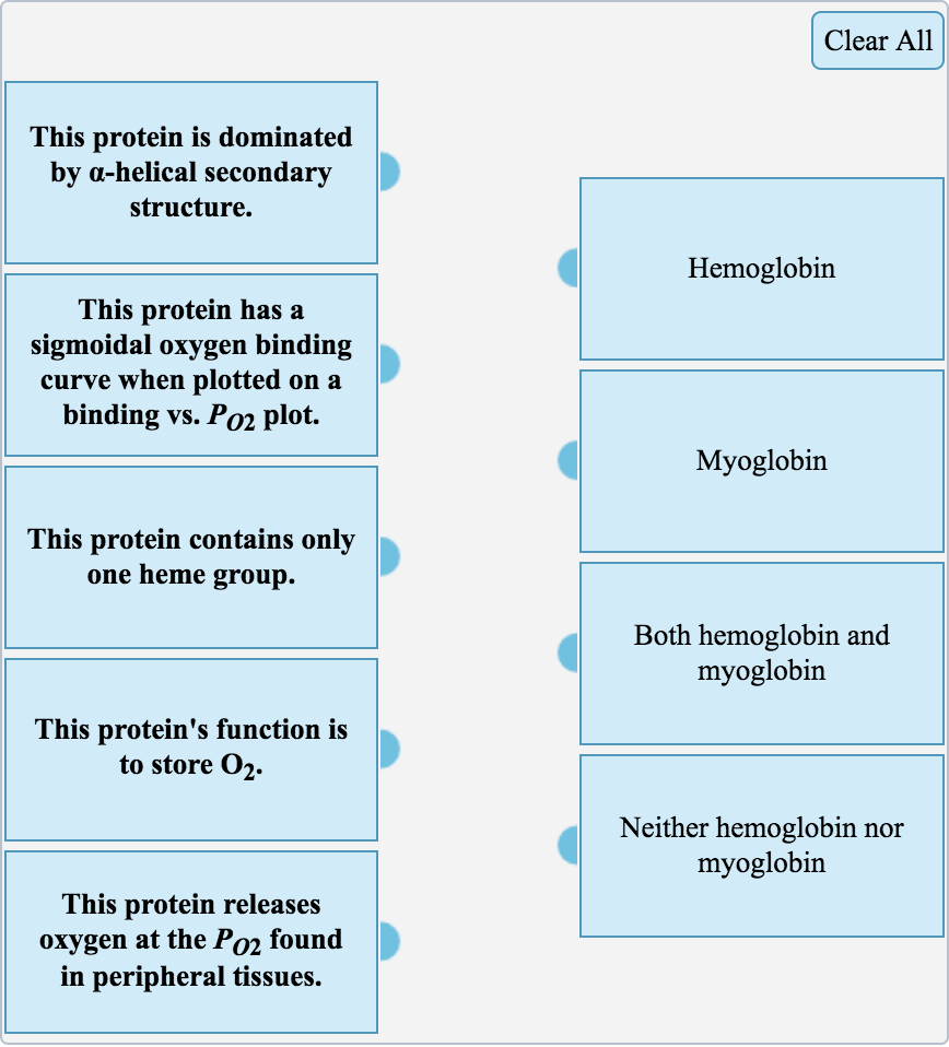 Solved Hemoglobin And Myoglobin Have Differences In Their | Chegg.com