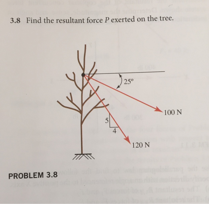 Solved Find the resultant force P exerted on the tree.