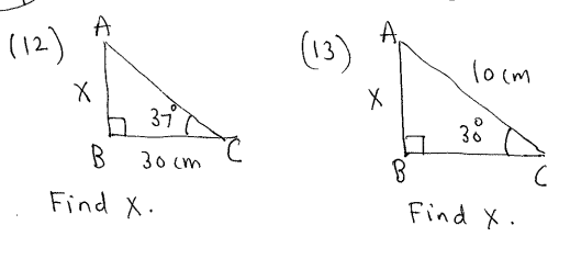 find x essay