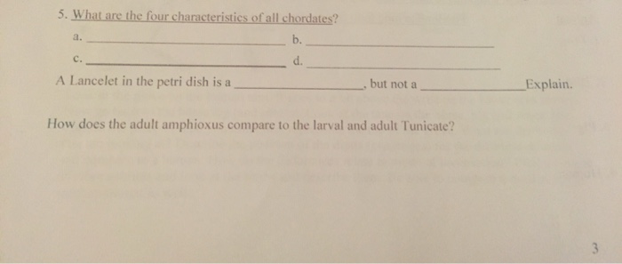 solved-what-are-the-four-characteristics-of-all-chordates-chegg