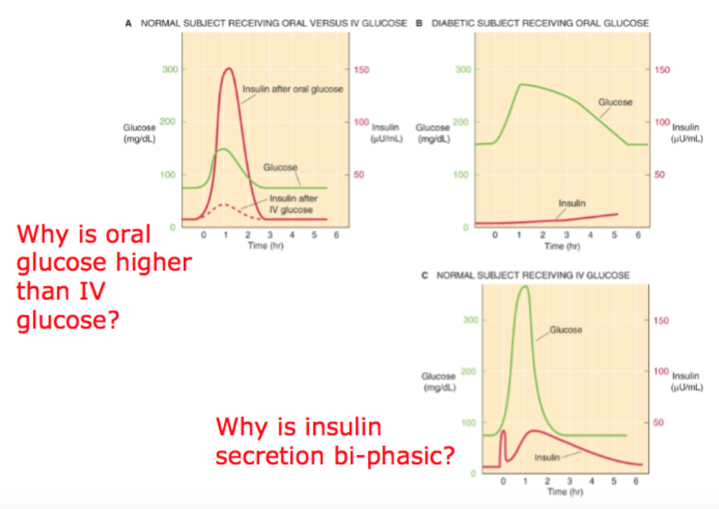 Solved A NORMAL SUBJECT RECEIVING ORAL VERSUS IV GLUCOSE B