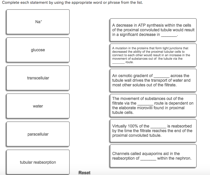 Select The Appropriate Word Or Phrase To Complete Each Sentence Escoger