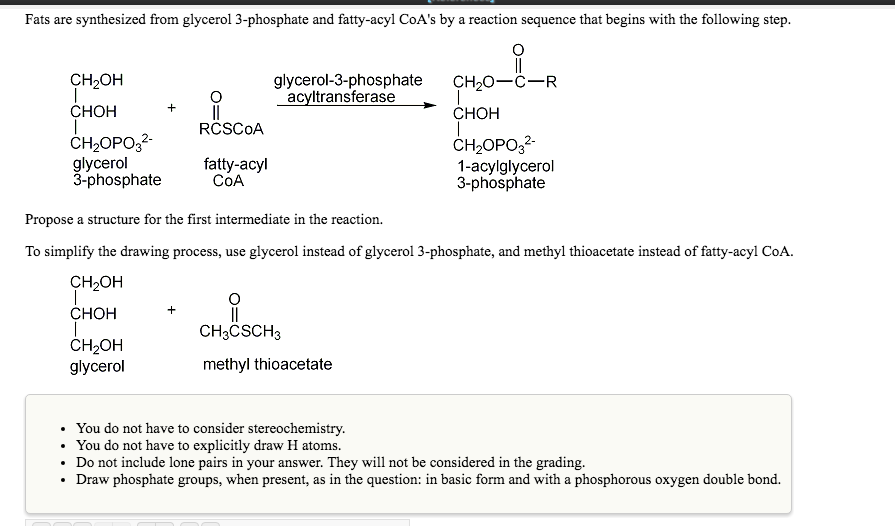Solved Fats are synthesized from glycerol 3phosphate and
