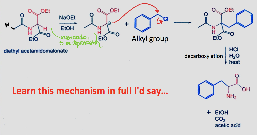 Solved NaOEt EtOH mast Eto O Alkyl group EtO EtO HCI diethyl | Chegg.com