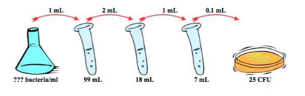 solved-1-calculate-the-number-of-cfu-on-the-highest-chegg