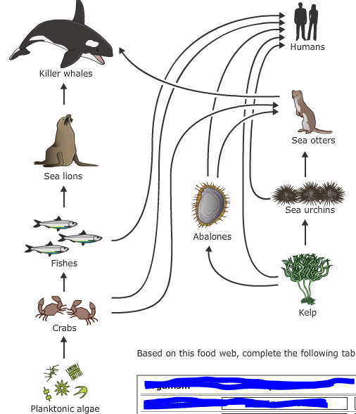 Solved Here are the questions: According to this food web | Chegg.com